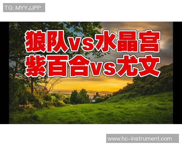 水晶宫对阵狼队比赛分析及比分预测建议 水晶宫对阵狼队比赛分析及比分预测建议