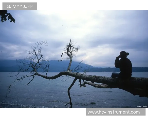 独行侠探索孤独的力量与自由的极限:一场心灵的冒险之旅 独行侠探索孤独的力量与自由的极限:一场心灵的冒险之旅